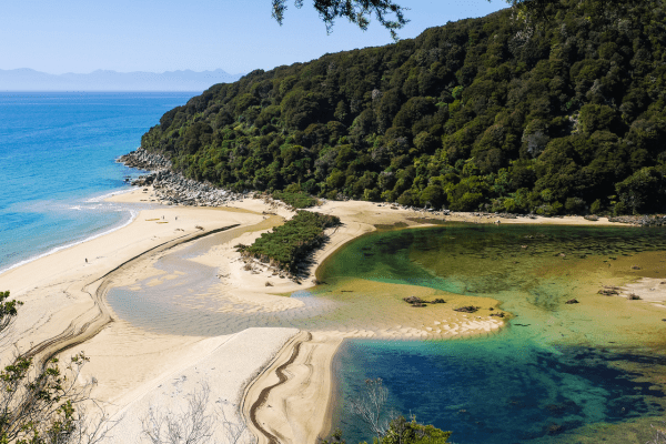 Abel Tasman National Park, New Zealand – Pristine Coastal Landscape Beautiful coastal paths in Abel Tasman National Park, New Zealand
