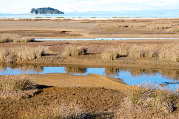 Nelson Tasman Region, New Zealand – Natural Beauty and Cultural Heritage Nelson Tasman Region, New Zealand